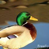 Staring Off Into The World