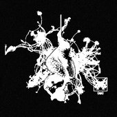 Bandcamp Image