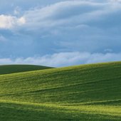 IMG_1590.jpeg