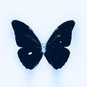 0x1900-000000-80-0-0.jpg