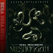 Meshuggah Zone