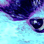 profile cover 2