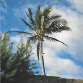 Avatar for JD07818