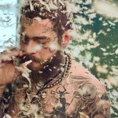 Posty with feathers