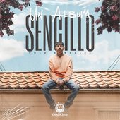 Un Album Sencillo