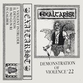Demonstration of Violence