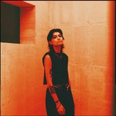 I Wish I Was My Own Friend