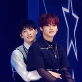 🐺🐰