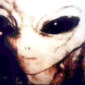 Avatar for imluuci