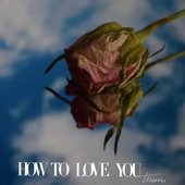 How To Love You