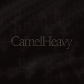 Camel Heavy