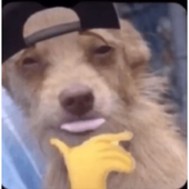 Avatar for Mitsu_tm