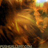 pushgallery için avatar