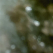 Spotify profile picture