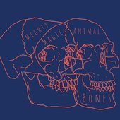 Bones