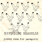 xploding-seagullsBig.jpg