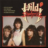 Wild_Strawberries_the_band