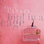 BIRD IN A CAGE