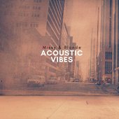 Acoustic Vibes
