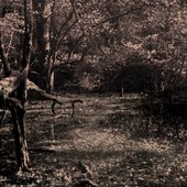 Veln Self Titled Cover Art.jpg