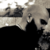 vaillantulkas 的头像