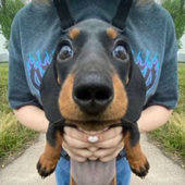 Avatar for fudgesamples