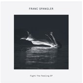 Fight The Feeling EP