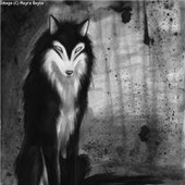 Avatar for AHDPEiTheFox