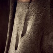 Towards Belief
