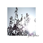Greening Acid