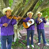 Los Camperos de Valles.jpg