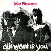 All I Want Is You