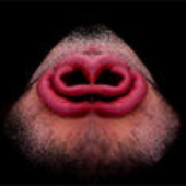 Avatar for koldhands