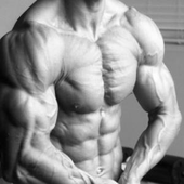 Avatar for muscularherif