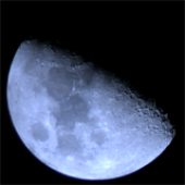 Avatar di blu3moon