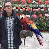 birdy nam namusan.jpg