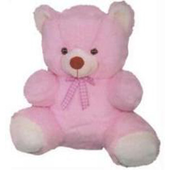 Avatar for MasterTeddy