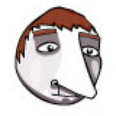 Avatar for AmirMaor