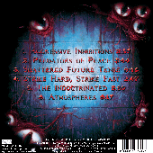 Pandemonium's Rise Back Cover