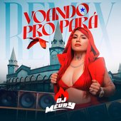 Voando pro Pará (Remix)