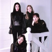 yyxy