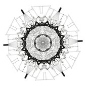 Holoparasitic