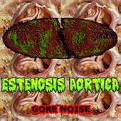 Estenosis Aortica logo