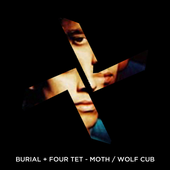 Burial & Four Tet \"Moth / Wolf Cub\" Artwork Idea