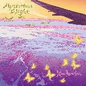 Mysterious Flight
