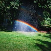 rainbows art