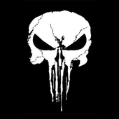 Metalraw 的头像
