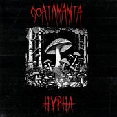 Hypha