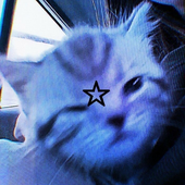 Avatar for guibacp