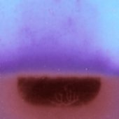 When I Dissolve